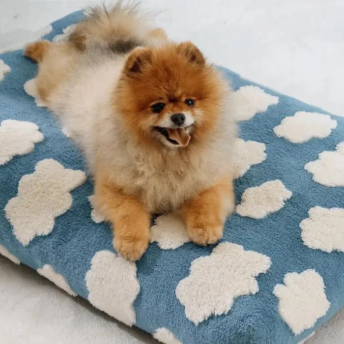 AquaRest • Waterproof Dog Bed for Indoor & Outdoor Comfort
