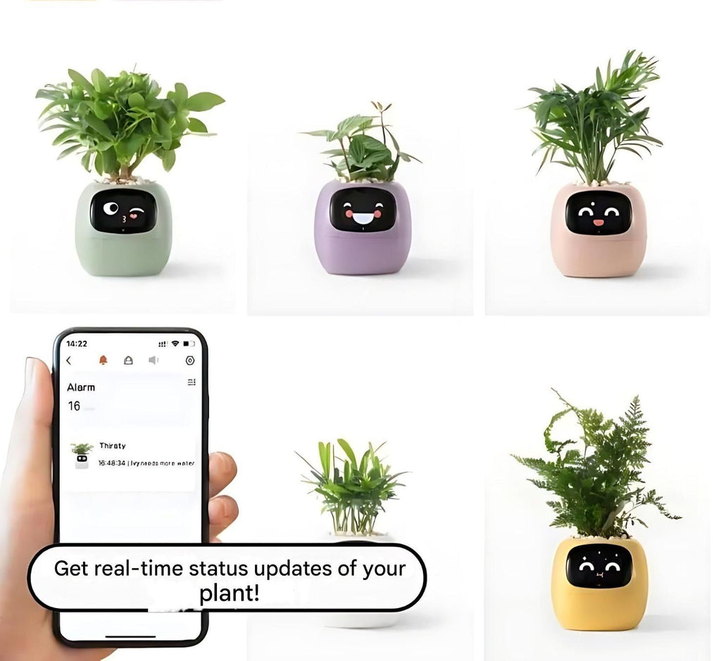 Avtoit | Automatic Smart Flowerpot - GreenBuddy SmartPot