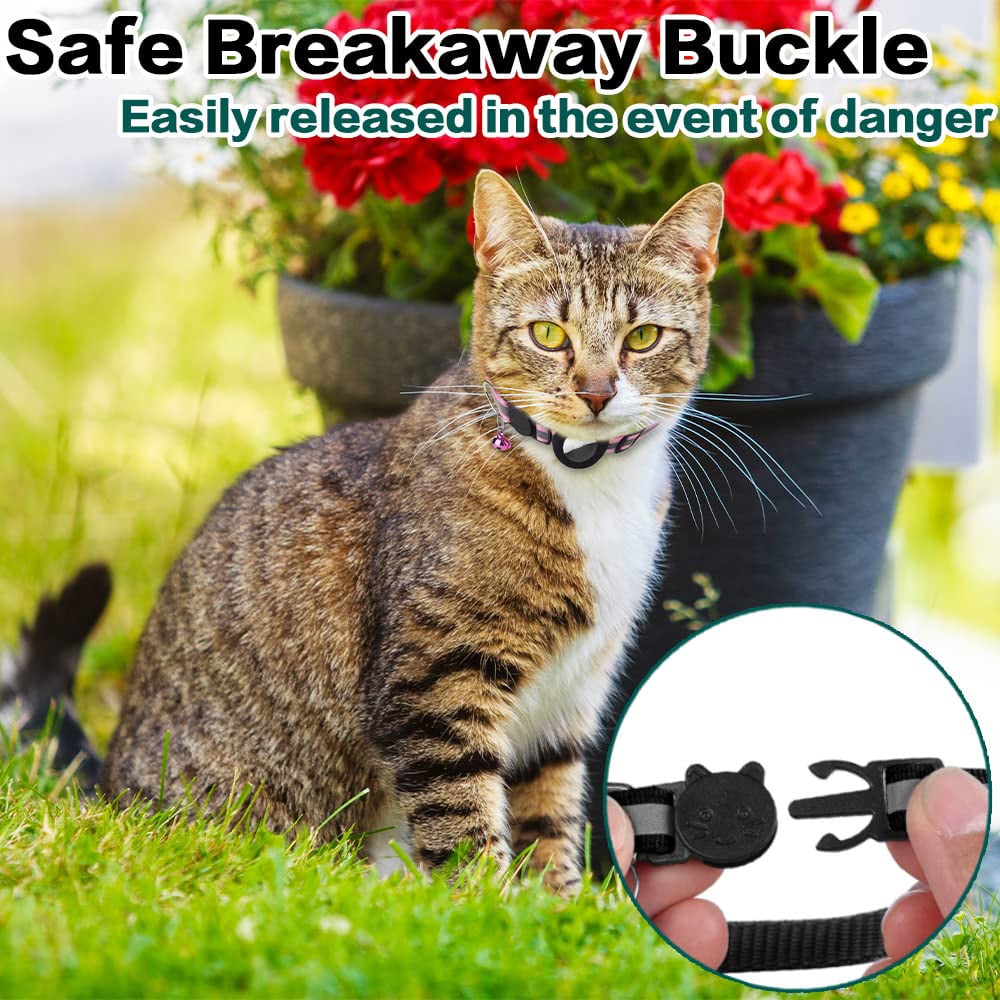 Avtoit | Stay Connected: pet locator collar