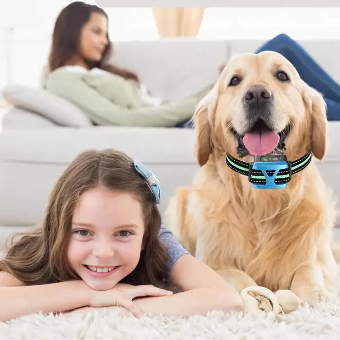 Rechargeable Dog Bark Collar with 5 Sensitivity Levels and IP67 Waterproof Receiver