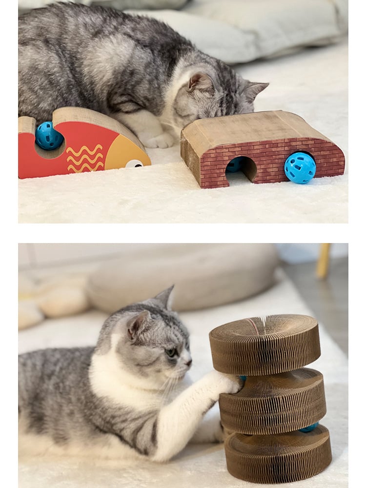 Avtoit | Magic Cat Scratch Board(with ball )