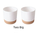Avtoit | Self-watering flower pot for orchids and plants – Plastic plant container