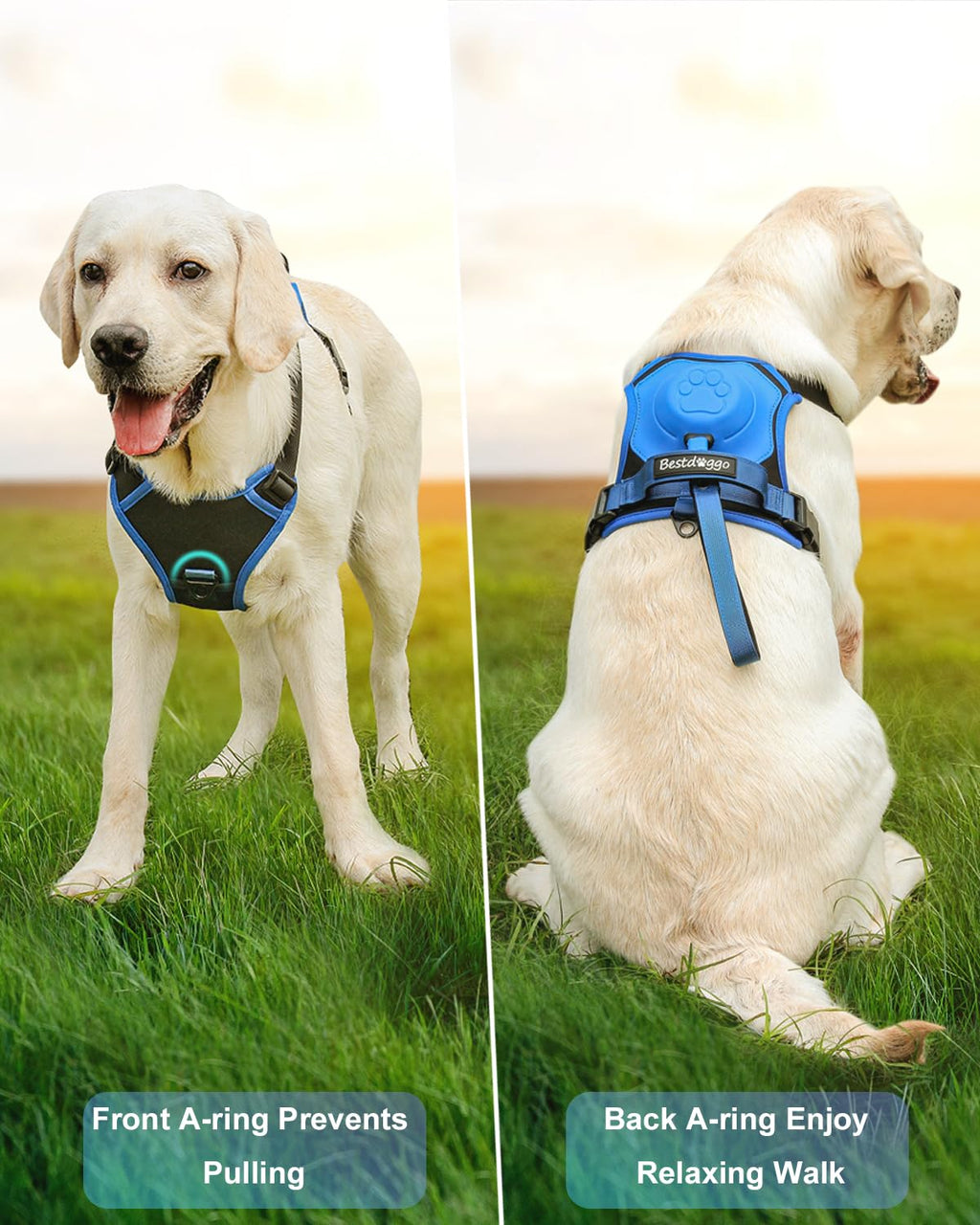 Avtoit | mamymarket™ - Dog Harness and Retractable Leash Set All-in-One