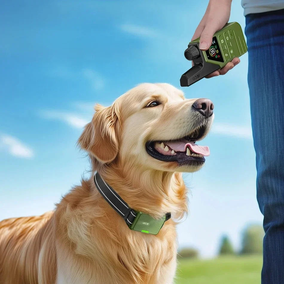 Avtoit | JECO – Professional Dog Training Collar | Anti-Bark & Remote Control