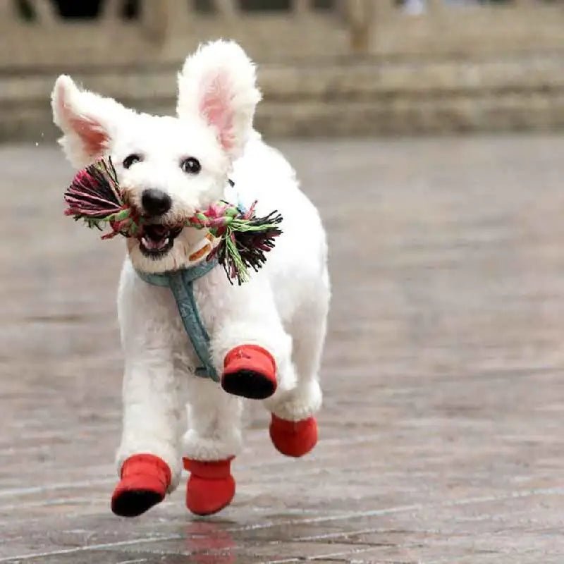 CozyPaws •  Dog Waterproof Boots