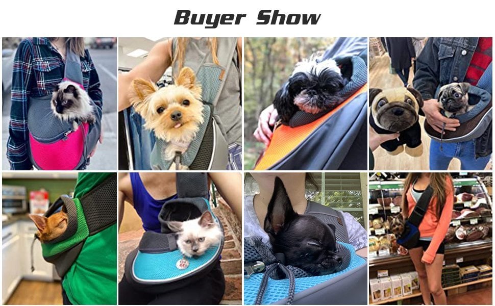 Avtoit | Pet carrier  - for Cats and small dogs