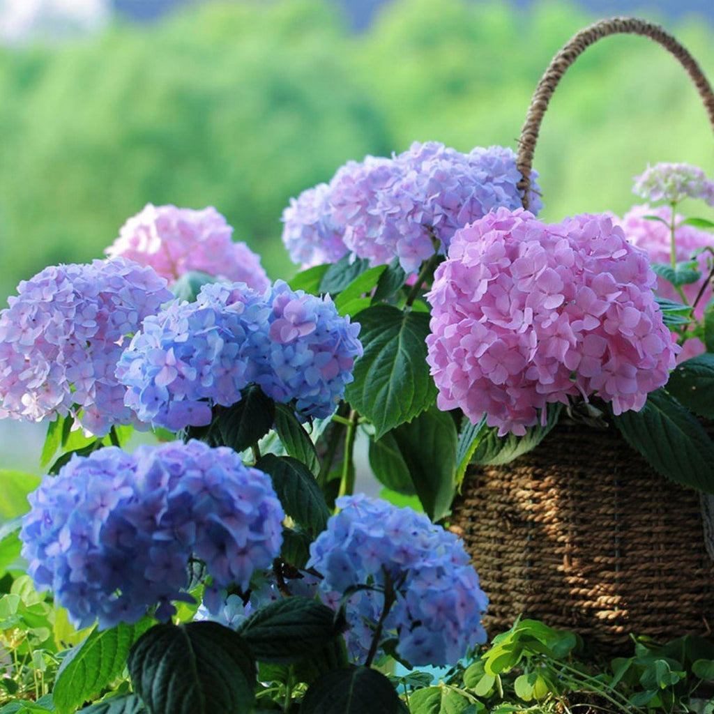 Avtoit | Outdoor Artificial Hydrangea Flowers