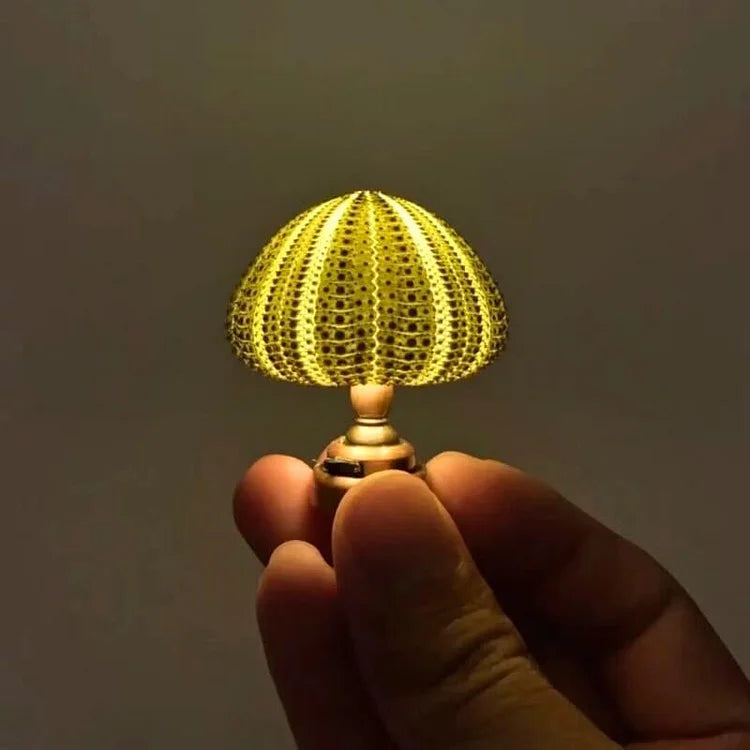 Avtoit | LumiCraft – Unique DIY table lamp with natural sea shell for a cozy décor