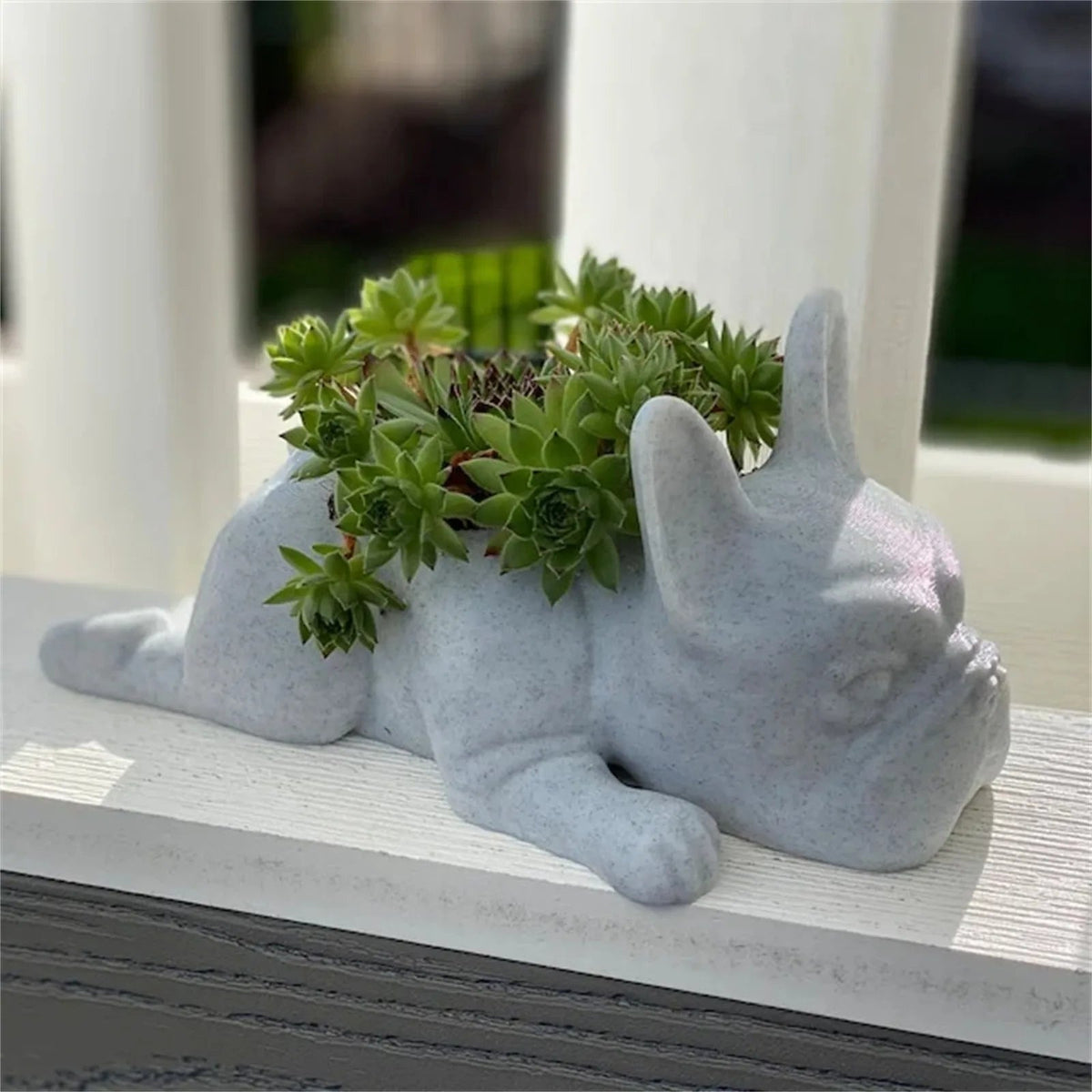 Avtoit | Dog Resin Succulent Planter - Buddy