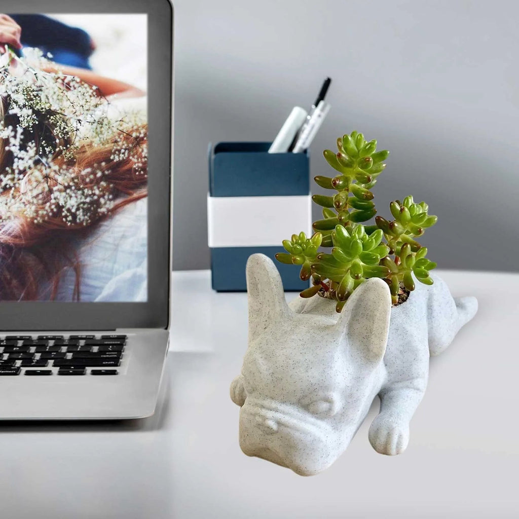 Avtoit | Dog Resin Succulent Planter - Buddy