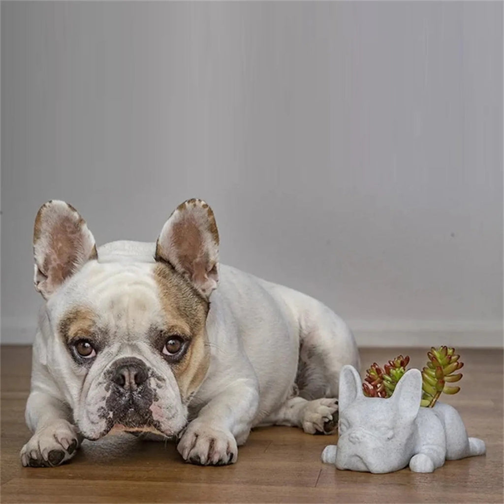 Avtoit | Dog Resin Succulent Planter - Buddy
