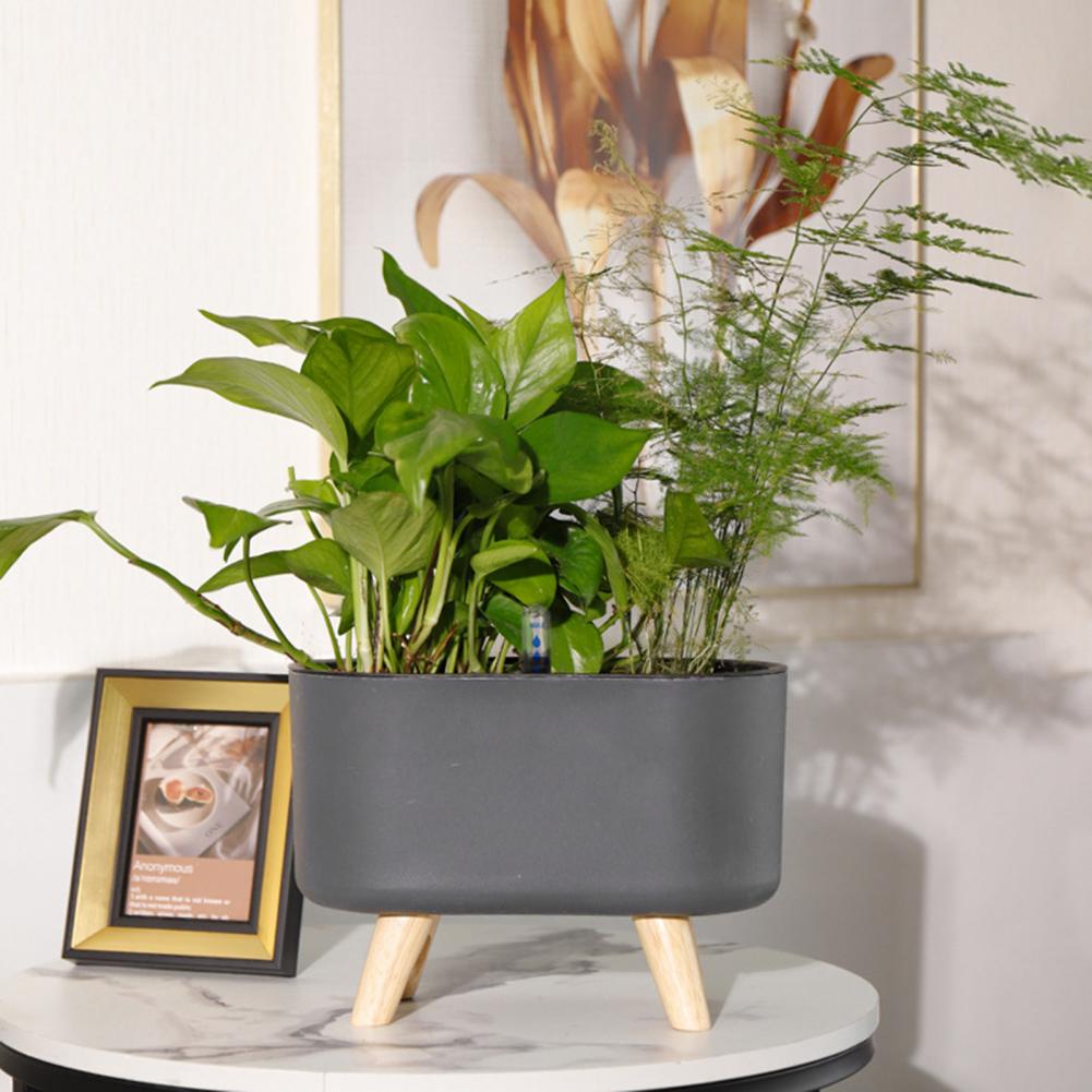 Avtoit | Self-watering Flower Pot