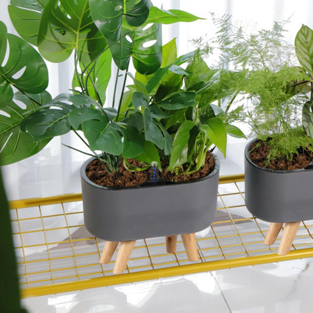 Avtoit | Self-watering Flower Pot