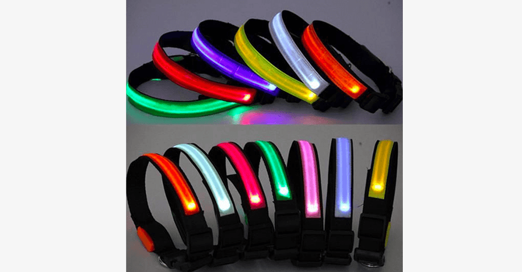Avtoit | LED Dog Collar – Keep an eye on your pet!