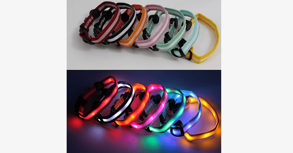 Avtoit | LED Dog Collar – Keep an eye on your pet!