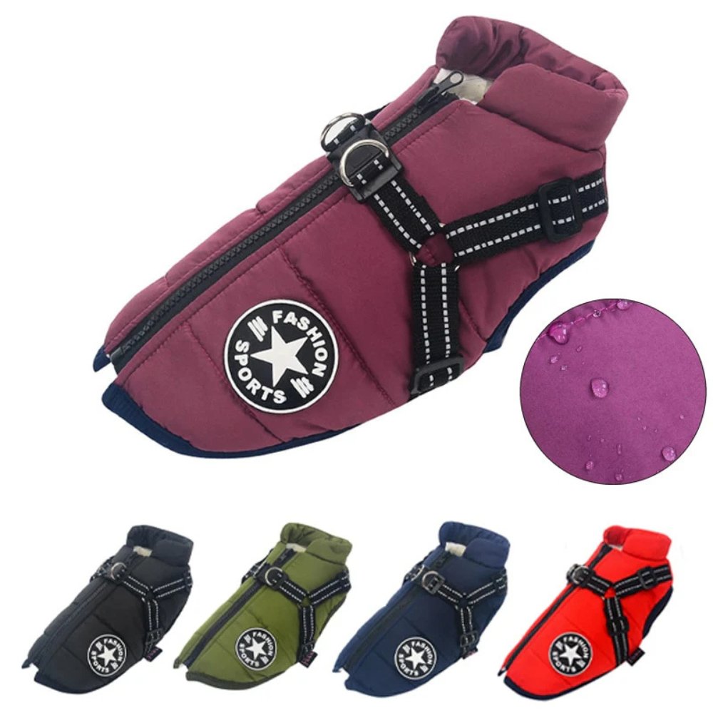DryPaw •  Waterproof Dog Coat