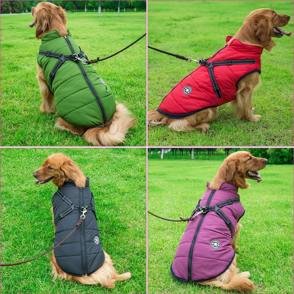 DryPaw •  Waterproof Dog Coat