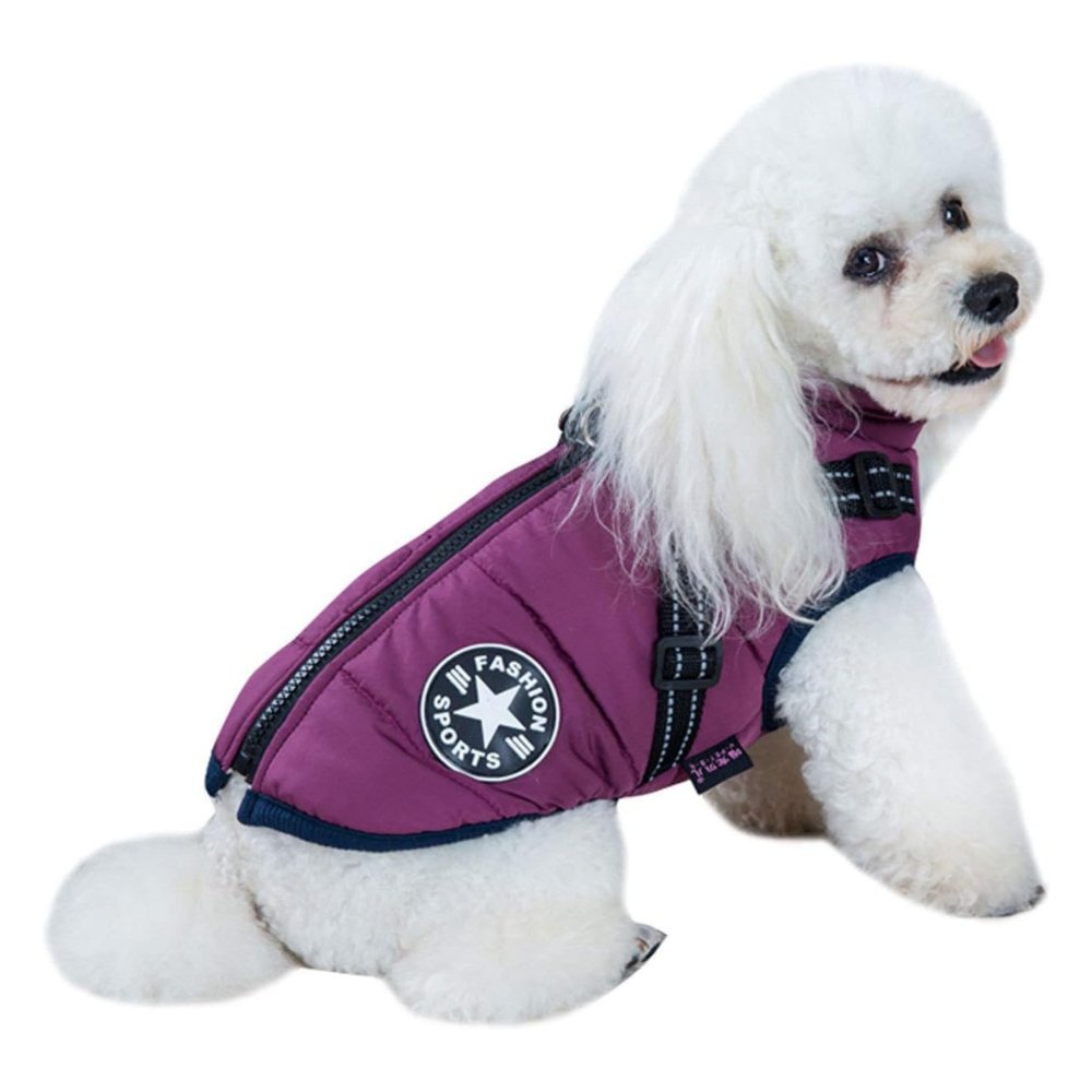 DryPaw •  Waterproof Dog Coat