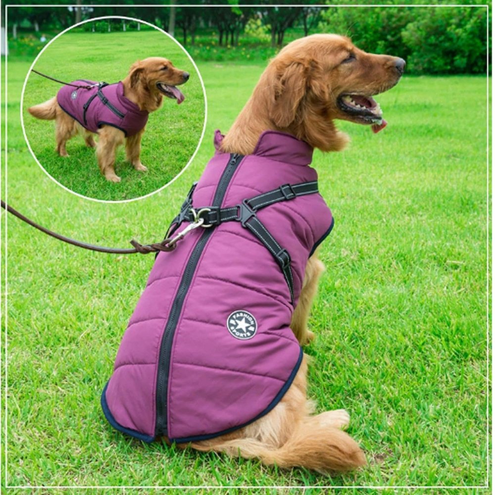 DryPaw •  Waterproof Dog Coat