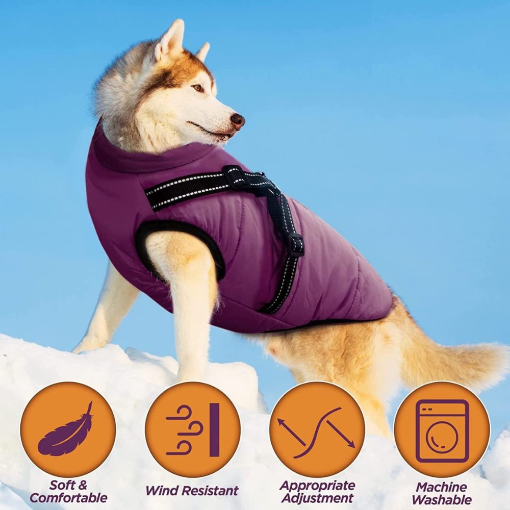 DryPaw •  Waterproof Dog Coat
