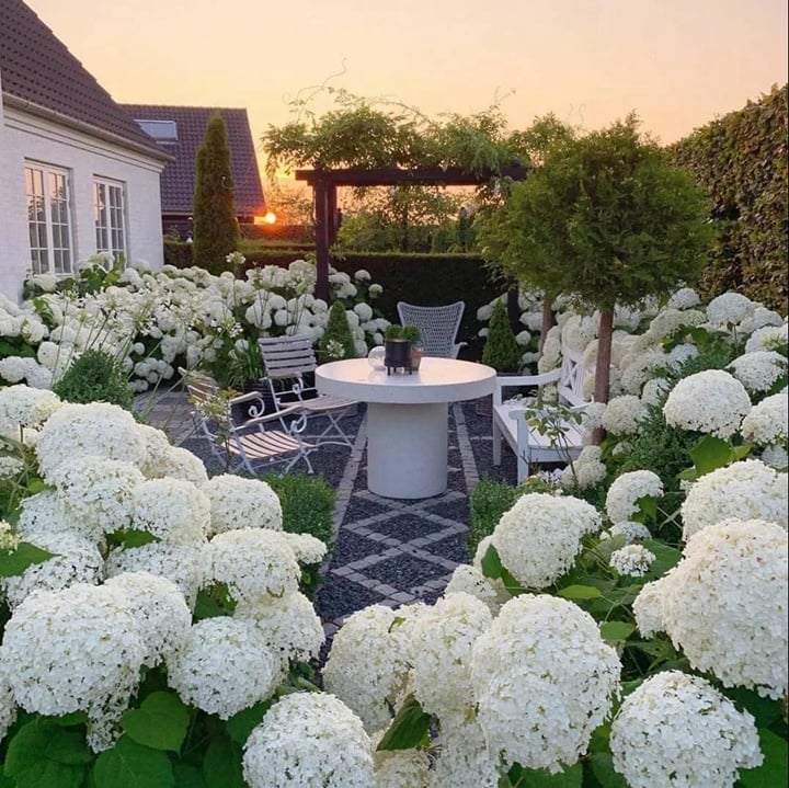 Avtoit | Outdoor Artificial Hydrangea Flowers
