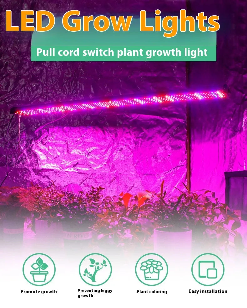 Avtoit | LED plant lamp with full spectrum lighting and pull switch for optimal plant growth
