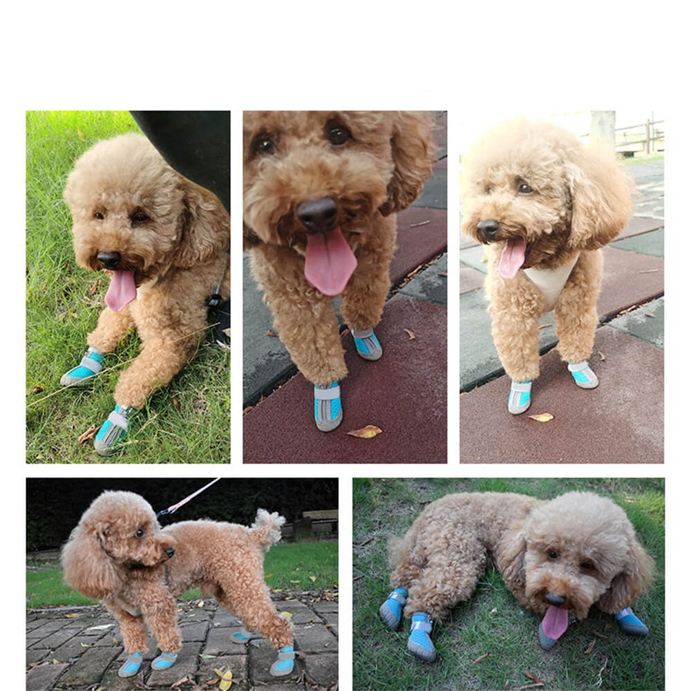 Avtoit | Durable Outdoor Dog Shoes with Mesh - All-Terrain Paw Protection