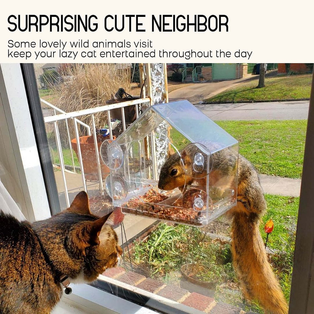 Avtoit | Bird feeder in the window for outdoor use