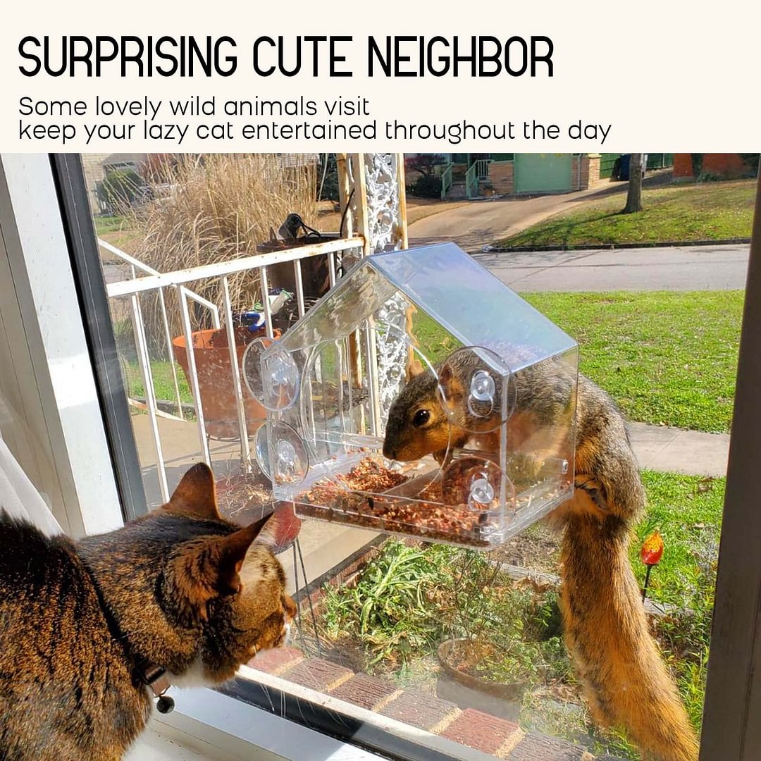 Avtoit | Bird feeder in the window for outdoor use