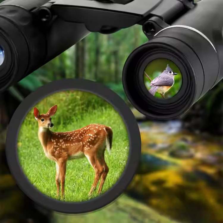 Avtoit | 40x22 HD Long-Range Binoculars | Lightweight, Multi-Coated Lenses for Bird Watching, Wildlife Observation & Stargazing