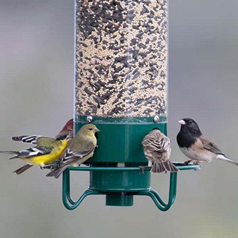 Avtoit | Squirrel-proof bird feeder