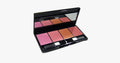 Avtoit | 4 Color Blush Palette