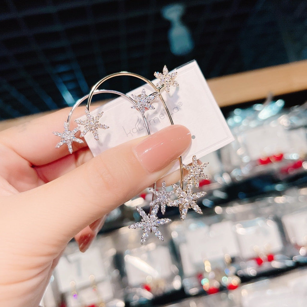 Avtoit | Shiny Zircon Earrings