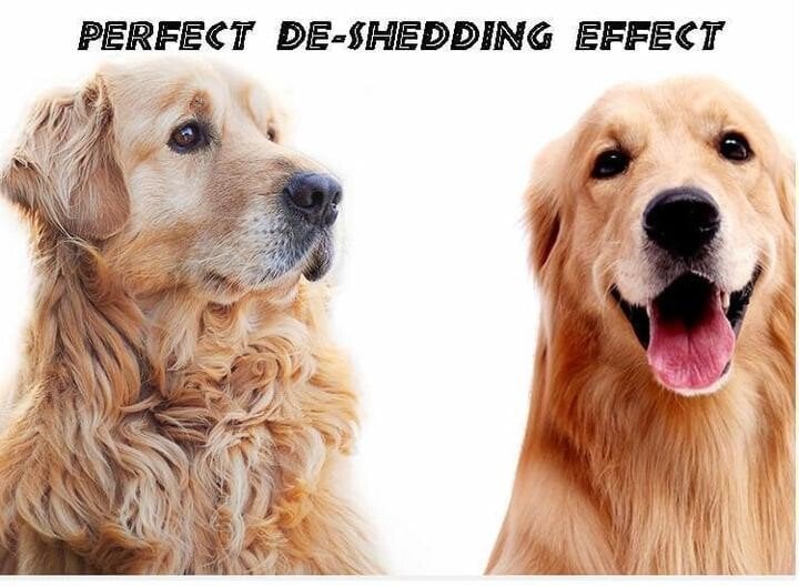 Avtoit | Pet Safe Dematting Comb