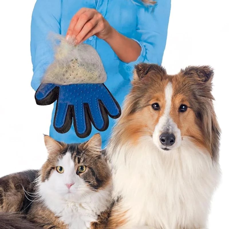 Avtoit | Cat grooming glove for cats wool glove Pet Hair Deshedding Brush Comb Glove For Pet Dog Cleaning Massage Glove For Animal Sale