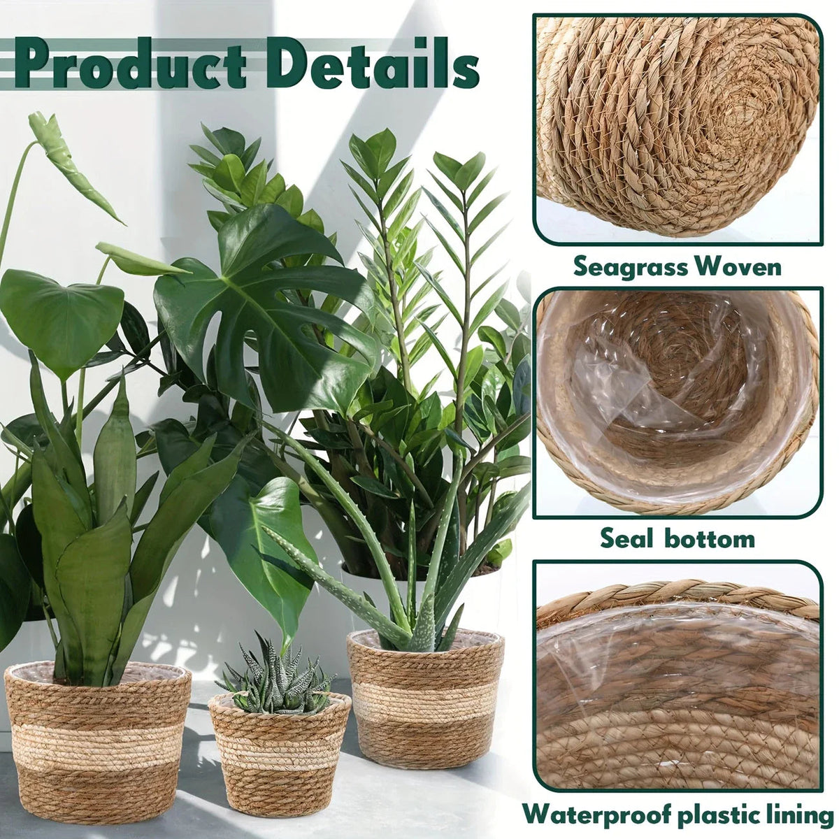 Avtoit | Decorative plant baskets made of seagrass in a set of 3 – Handwoven flower pots with foil insert