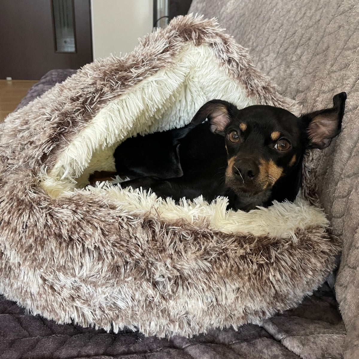 Avtoit |  Premium Pet Bed