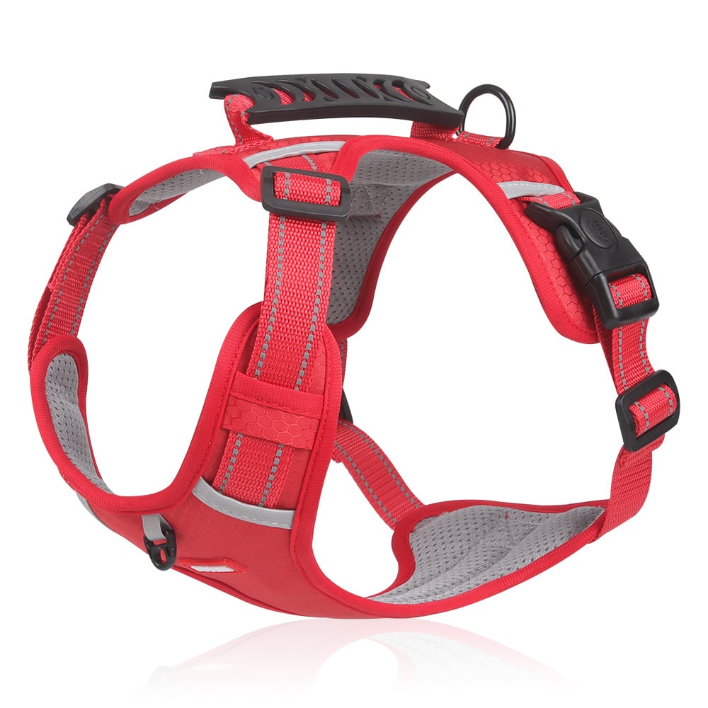 Avtoit | No Pull Dog Harness for Pets