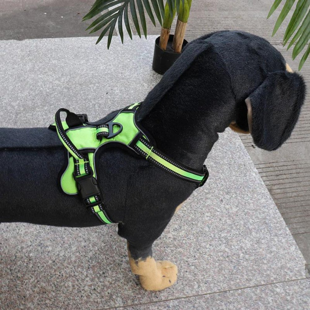 FlexHarness  •  No Pull Dog Harness