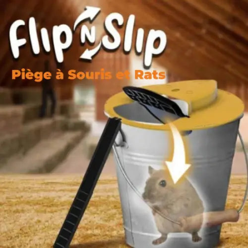 Avtoit | Flip & Slide - Mouse and Rat Trap