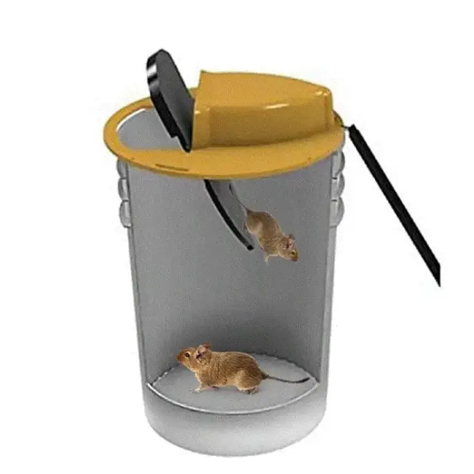 Avtoit | Flip & Slide - Mouse and Rat Trap