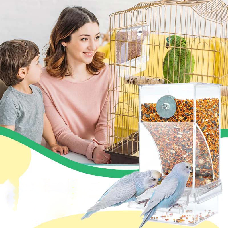 Avtoit | Automatic transparent bird feeder without spills