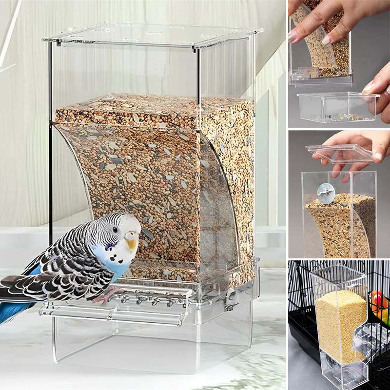 Avtoit | Automatic transparent bird feeder without spills