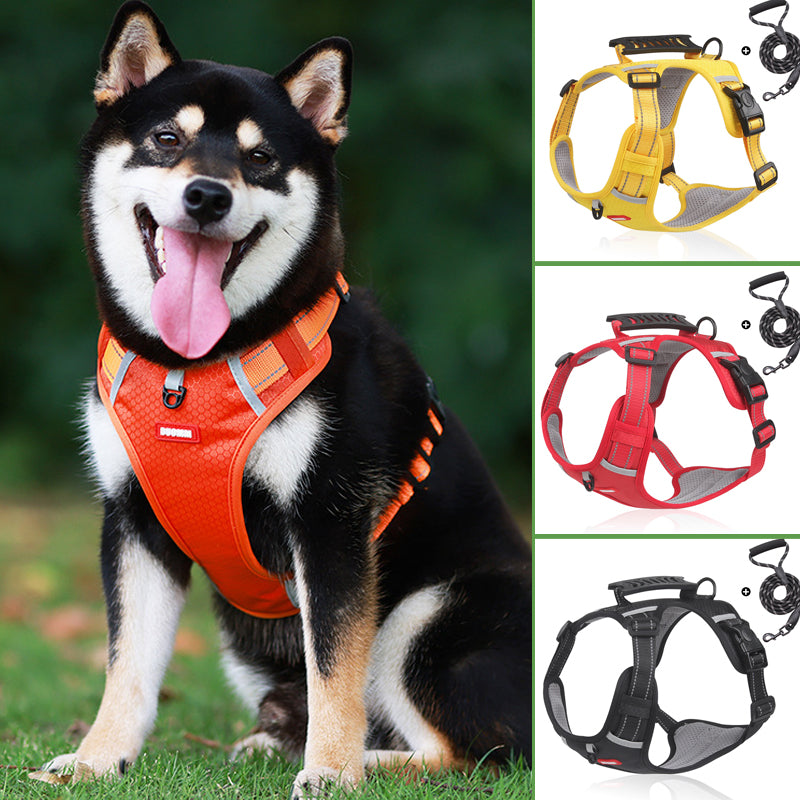 Avtoit | Reflective Dog Harness