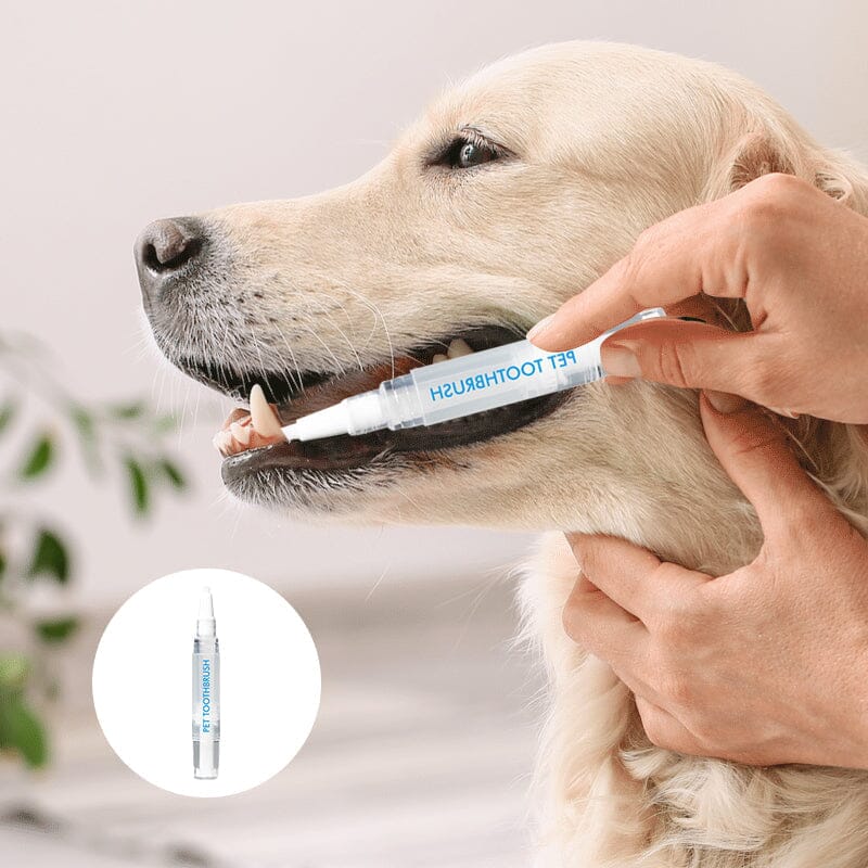 Avtoit | New Improved Pet Toothbrush Pen