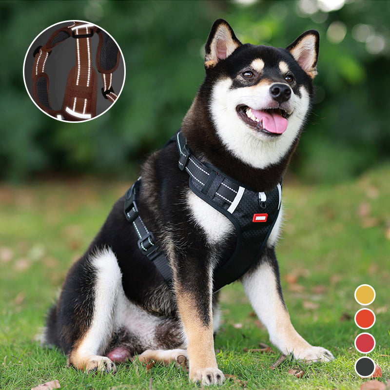 Avtoit | Reflective Dog Harness