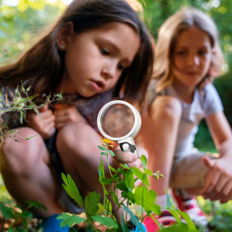 Avtoit | Optical Magnifying Glass