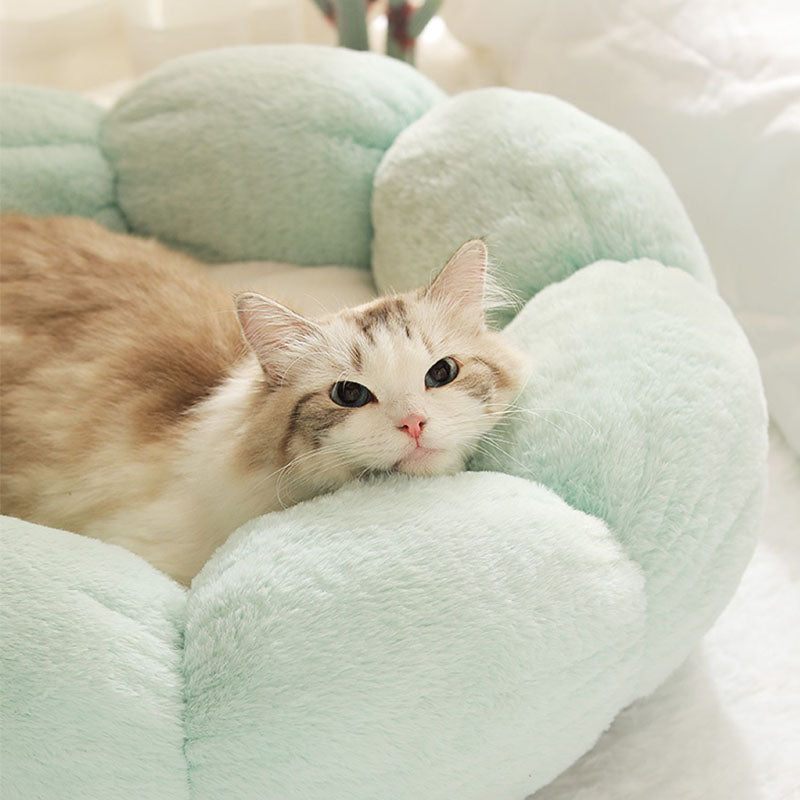Avtoit | Deep Sleep Flower Shape Cat Bed