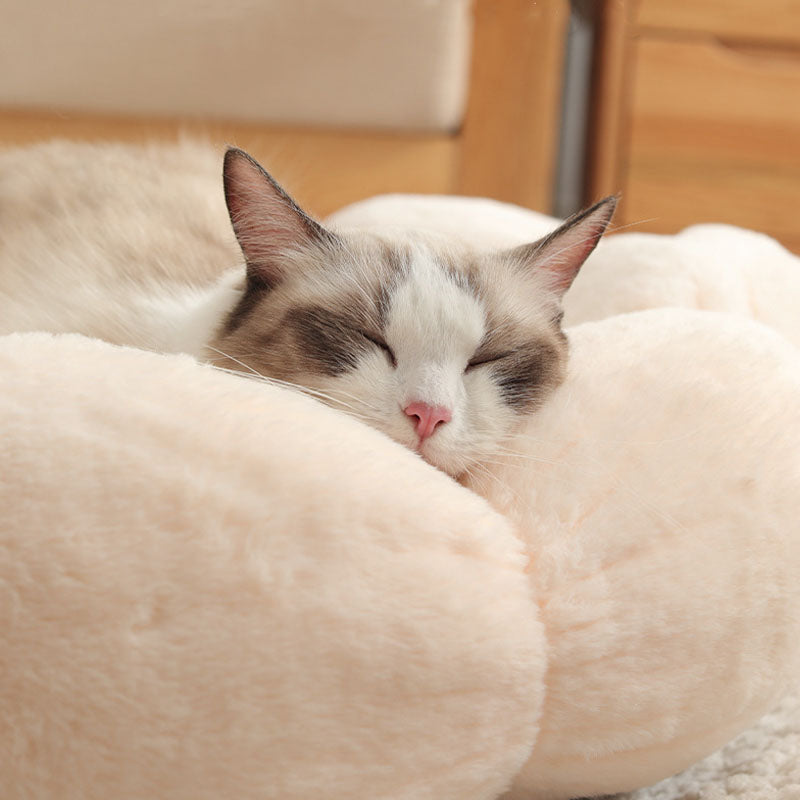 Avtoit | Deep Sleep Flower Shape Cat Bed