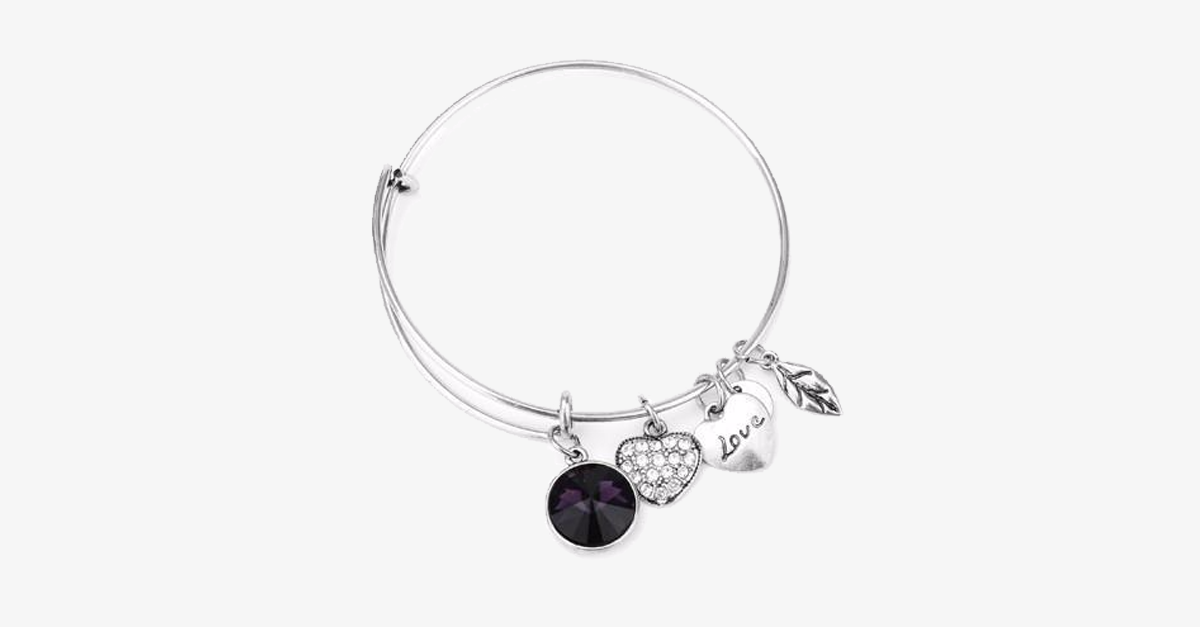 Avtoit | February Birthstone Charm Bracelet
